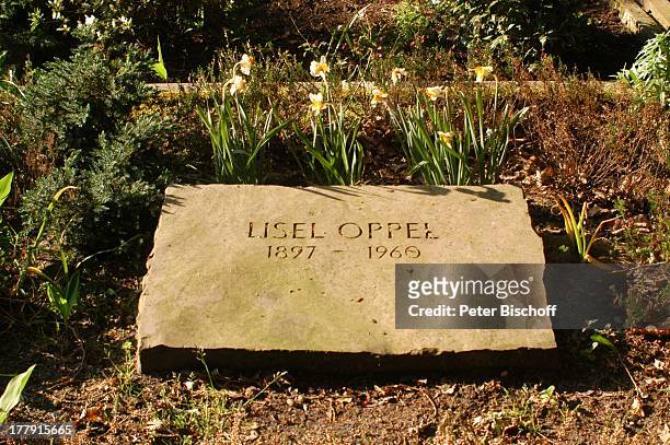 Grab von Lisel Oppel , Friedhof, Worpswede , Teufelsmoor, Niedersachsen, Deutschland, Europa, Künstlerkolonie, Künstlerdorf, Gedenkstätte,...