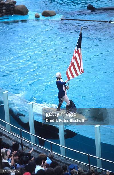 Trainer reitet auf Orca-Wal, Vorstellung Meeresthemenpark "Seaworld Orlando", Florida, Nordamerika, USA, Zuschauer, Tier-Dressur, Flagge, "Stars and...