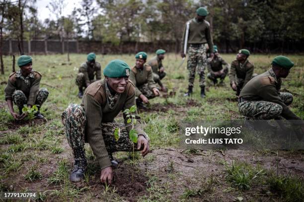 Members of the National Youth Service plant tree seedlings during the nationwide tree planting public holiday in Nairobi on November 13, 2023. The...