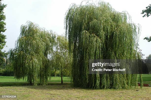 Schlosspark , Schloss Neuhardenberg , Brandenburg, Deutschland, Europa, Sehenswürdigkeit, Landschaftsgarten, Park, Baum, Reise,