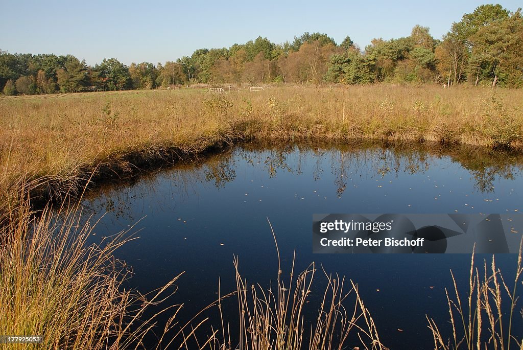 Wanderweg im Naturschutzgebiet Huvenhoopsmoor, Landkreis Rotenbu