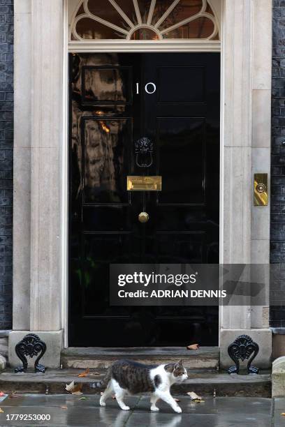 Larry the Cat walks outside Number 10 Downing Street in central London on November 13, 2023 following a cabinet reshuffle. Former UK leader David...