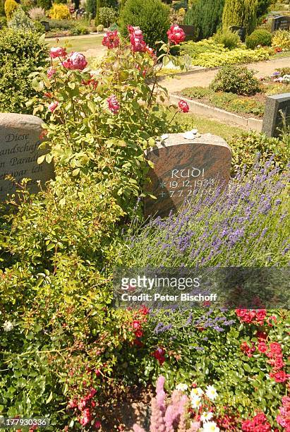 Grabstein von Rudi Carrell sowie Grabstein Rudi, "Friedhof Heiligenfelde" , Niedersachsen, Deutschland, Europa, Grab, Familiengrab, Grabstelle,...