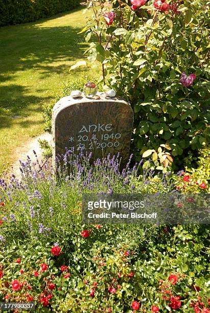 Grabstein von Anke Carrell , "Friedhof Heiligenfelde" , Niedersachsen, Deutschland, Europa, Grab, Familiengrab, Grabstelle, Gedenkstein, Kieselstein,...