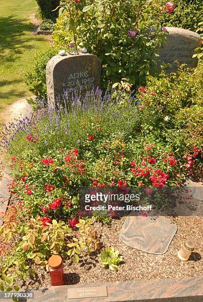 Grabstein von Rudi Carrell sowie Grabstein 2. Ehefrau Anke , "Friedhof Heiligenfelde" , Niedersachsen, Deutschland, Europa, Grab, Familiengrab,...