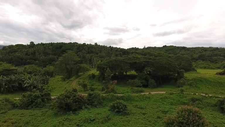 Scenery Rural Manilla 48 Green Philippine Highways Stock Videos, Footage, & 4K Video Clips ...