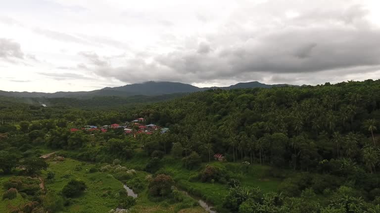 Scenery Rural Manilla 48 Green Philippine Highways Stock Videos, Footage, & 4K Video Clips ...