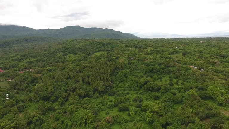 Scenery Rural Manilla 48 Green Philippine Highways Stock Videos, Footage, & 4K Video Clips ...