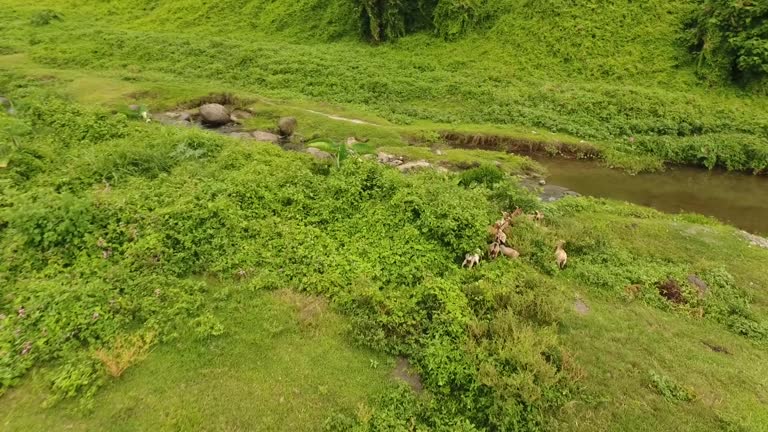 Scenery Rural Manilla 77 Philippine Fishing Village Stock Videos, Footage, & 4K Video Clips ...