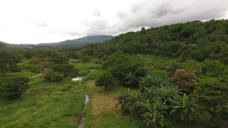 Scenery Rural Manilla 48 Green Philippine Highways Stock Videos, Footage, & 4K Video Clips ...