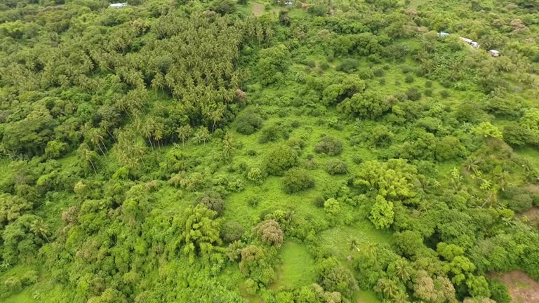 Scenery Rural Manilla 48 Green Philippine Highways Stock Videos, Footage, & 4K Video Clips ...