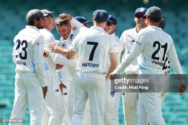 Chris Tremain of New South Wales celebrates with team mates after taking the wicket of Hilton Cartwright of Western Australia during the Sheffield...