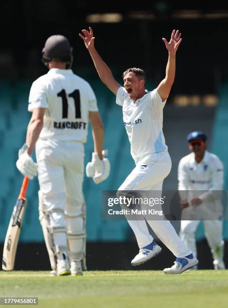 Chris Tremain of New South Wales celebrates taking the wicket of Hilton Cartwright of Western Australia during the Sheffield Shield match between New...