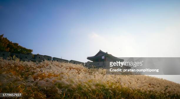 suwon fortress - provincie kyonggi do stockfoto's en -beelden