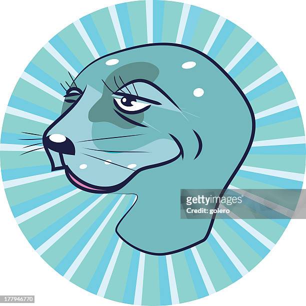 ilustraciones, imágenes clip art, dibujos animados e iconos de stock de de una junta - foca común
