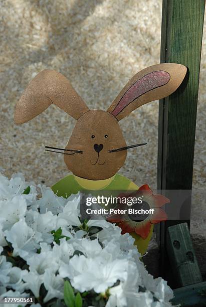 Osterhasen, Bastel-Arbeit bei Osterhasen-Ausstellung "Botanica", "Rhododendron-Park", Schwachhausen, Bremen, Deutschland, Europa, Zwerghasen, Tier,...