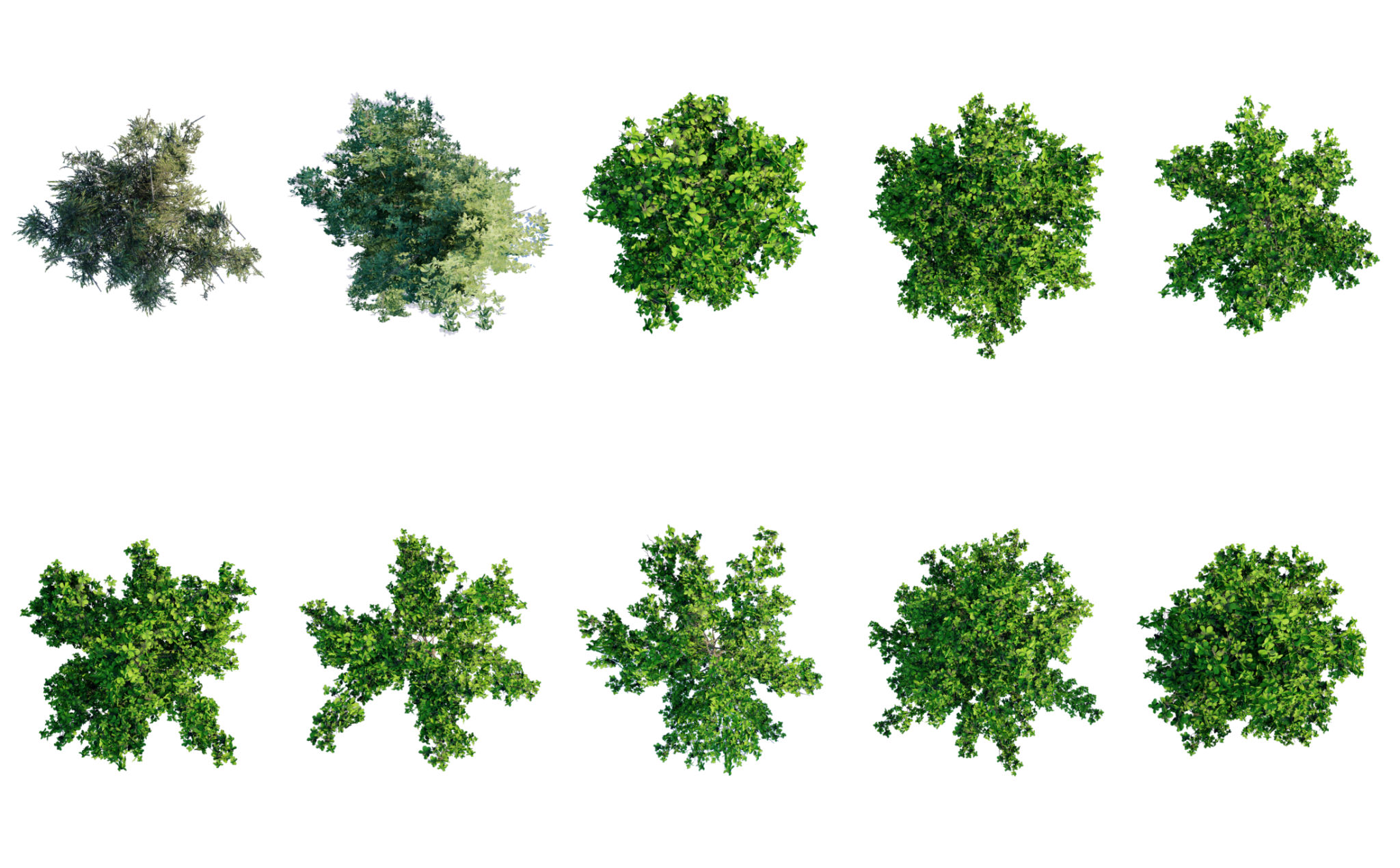 landscaping elements