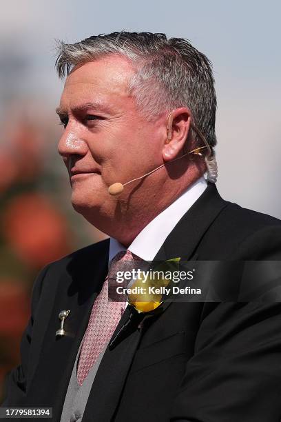 Eddie McGuire speaks ahead of the Lexus Melbourne Cup during Melbourne Cup Day at Flemington Racecourse on November 07, 2023 in Melbourne, Australia.