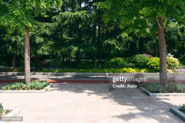 empty road against trees - henan province stock pictures, royalty-free photos & images