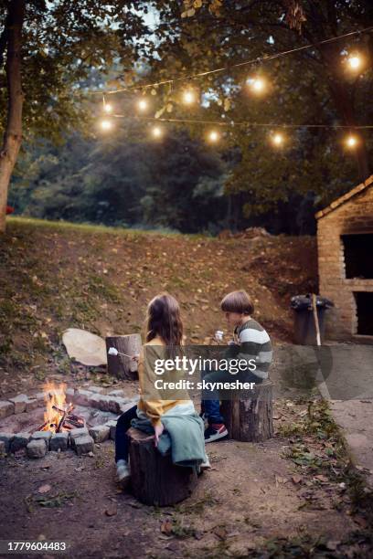 small kids eating marshmallows by the fire in the backyard. - boy warming up stock pictures, royalty-free photos & images