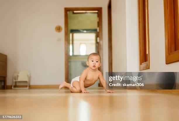 adorable asian baby boy wearing diaper crawling on domestic home floor exploring with innocence and joy - babies only stock pictures, royalty-free photos & images