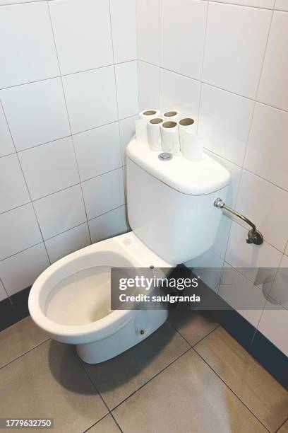 white toilet bowl - interior de la casa 個照片及圖片檔