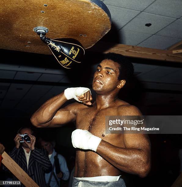 Ali C R Ali Vs Norton I Photos and Premium High Res Pictures - Getty Images