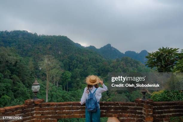 woman looking at jungles from temple in thailand - cidade de chiang mai imagens e fotografias de stock