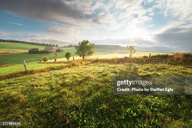 morning beauty - landschaftspanorama stock-fotos und bilder