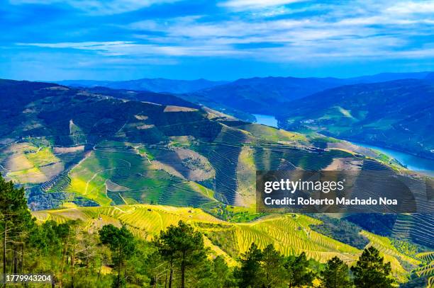 douro valley - tal stock-fotos und bilder