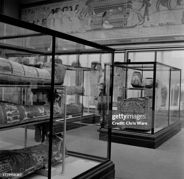 Sarcophagi displayed in glass cabinets at the British Museum, London, May 1954.