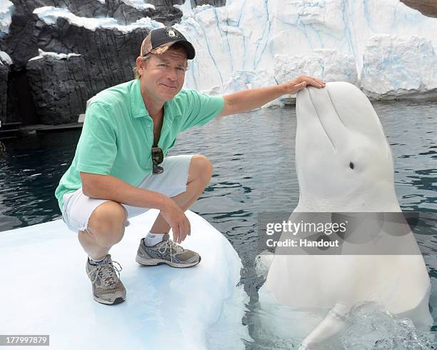 In this handout photo provided by SeaWorld San Diego, actor Greg Kinnear meets Nanuq the beluga whale at SeaWorld San Diego's Wild Arctic attraction...