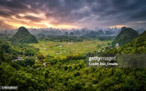 rice field in sunset, guilin, guangxi province, china - xingping stock pictures, royalty-free photos & images