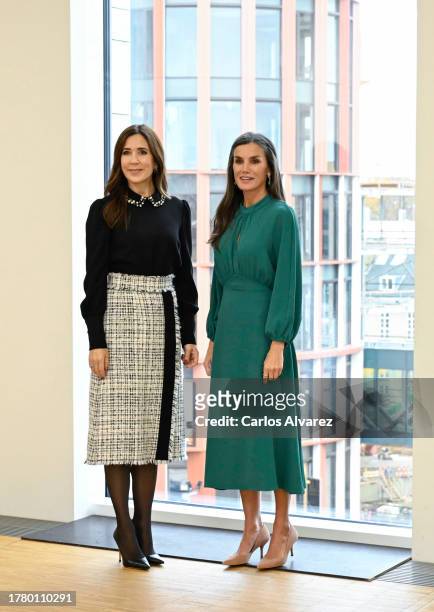 Crown Princess Mary of Denmark and Queen Letizia of Spain during a visit to see the construction of the new Mary Elizabeth's Hospital for Children,...