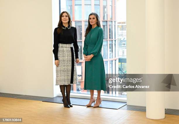 Crown Princess Mary of Denmark and Queen Letizia of Spain during a visit to see the construction of the new Mary Elizabeth's Hospital for Children,...