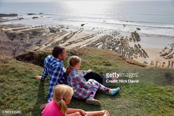 a family sitting on a cliff top looking out over an empty beach towards the ocean - 40 44 years stock pictures, royalty-free photos & images