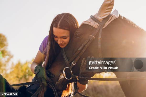 beautiful young woman enjoying with her brown arabian horse in the nature - pet silhouette stock pictures, royalty-free photos & images