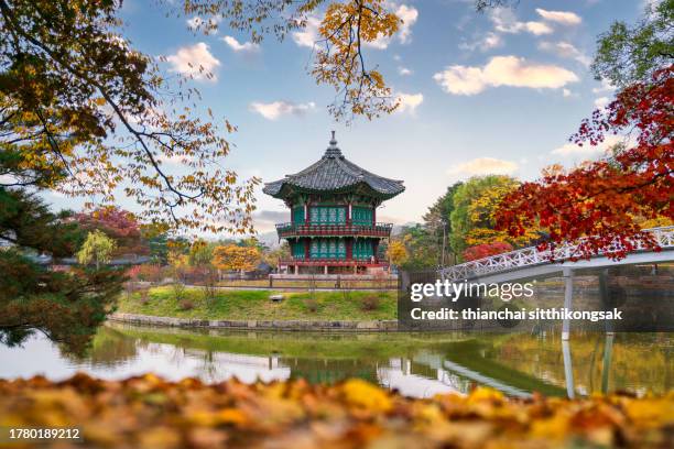 autumn colors around gyeongbokgung palace in south korea. - korea palace stock pictures, royalty-free photos & images