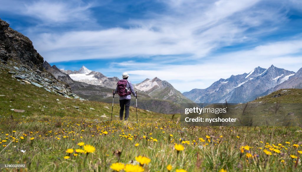 スイス旅行 - スイスアルプスをハイキングする女性