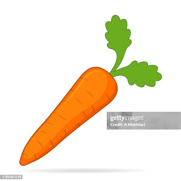 carrot illustration. - cooked root vegetables stock illustrations