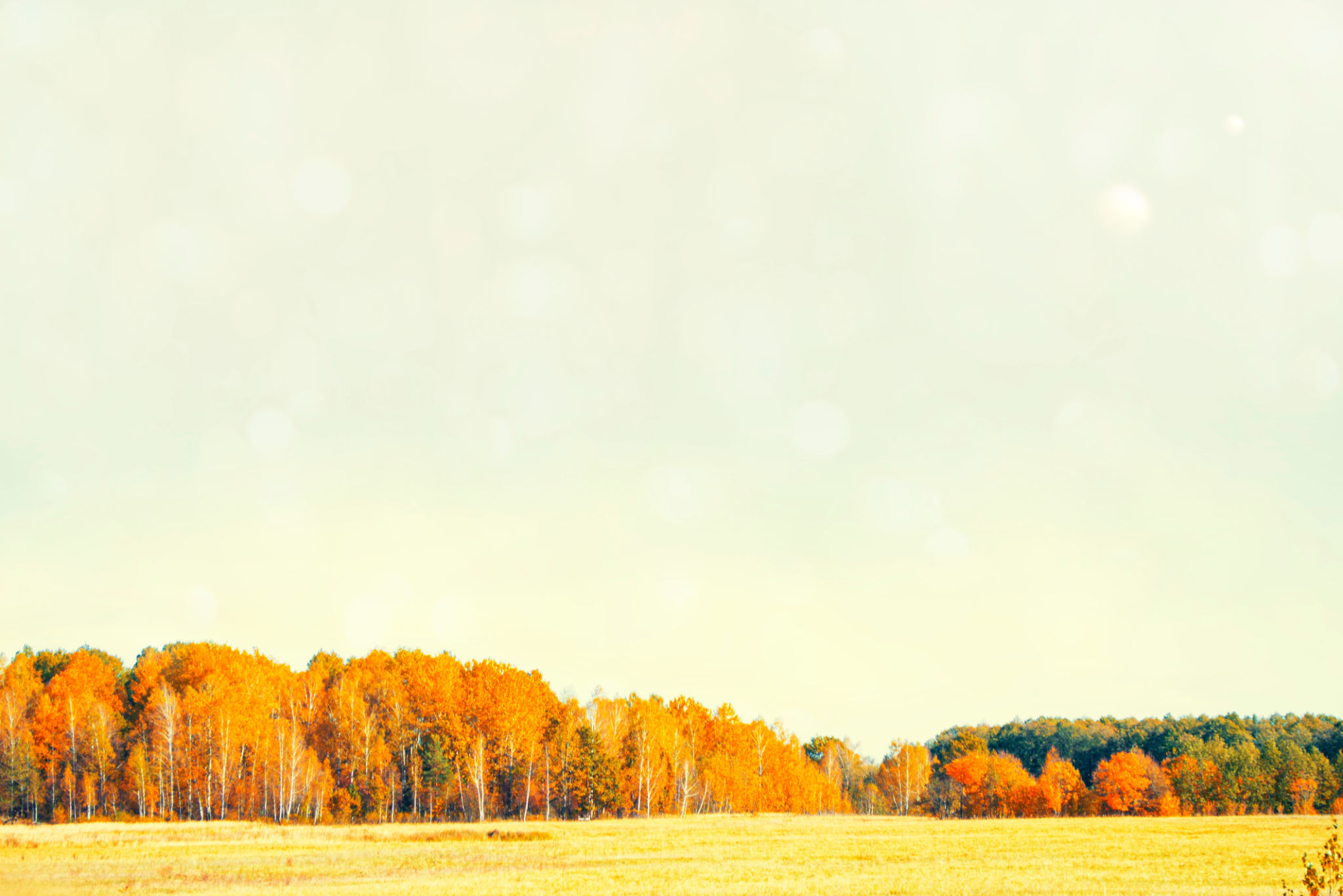 autumn landscape with bright colorful foliage. Indian summer. autumn landscape with bright colorful foliage. Indian summer.