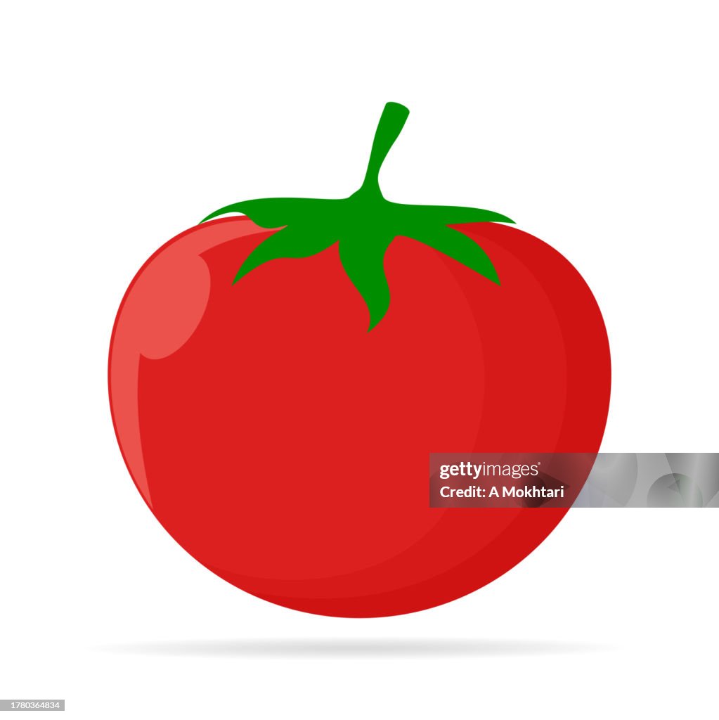 Illustrazione del pomodoro.