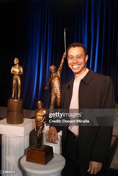 Tiger Woods poses with the Arnold Palmer, Jack Nicklaus and Byron Nelson Award Trophies all of which he won during the PGA Awards Ceremony for 2002...