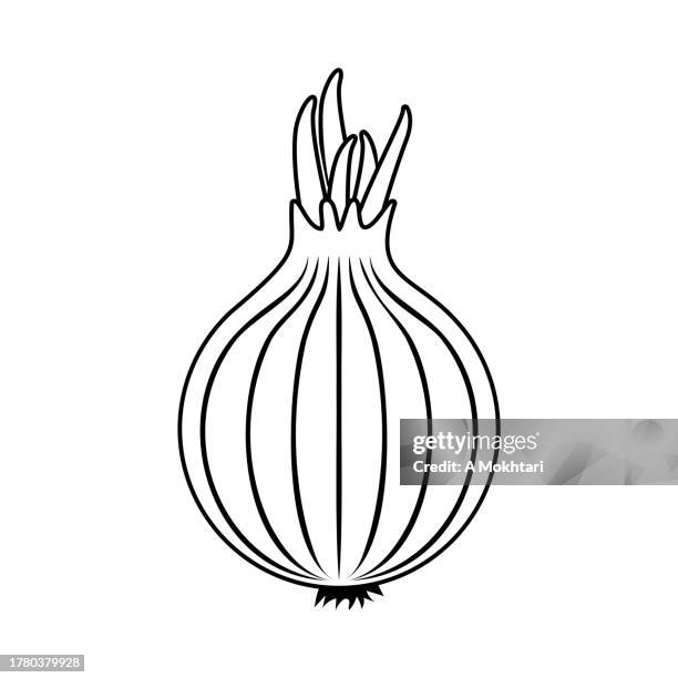 onion icon. - spring onion stock illustrations