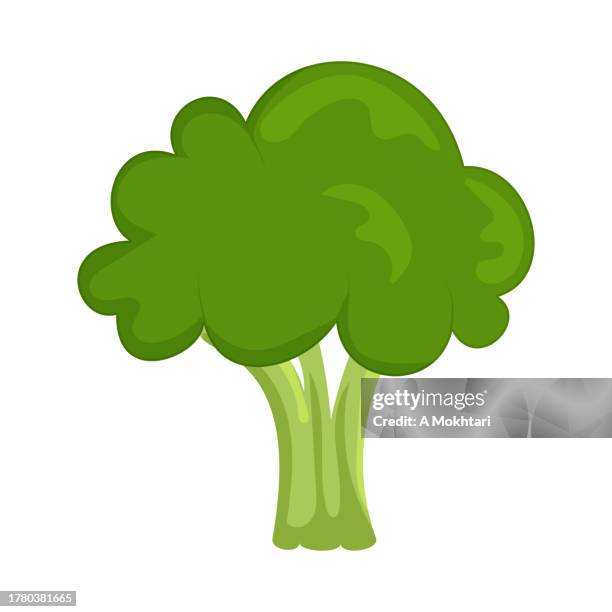 broccoli illustration. - broccoli stock illustrations