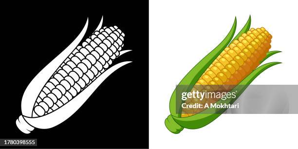 illustrazioni stock, clip art, cartoni animati e icone di tendenza di icona del mais. - pannocchia