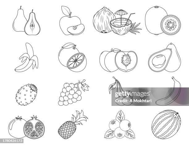 ilustraciones, imágenes clip art, dibujos animados e iconos de stock de ilustración de conjunto de frutas con dibujo de contorno. colorear y aprender, icono de línea. - agua