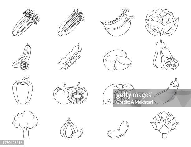 set of vegetables illustration with contour drawing. coloring, line icon. - corn tomato salad stock illustrations