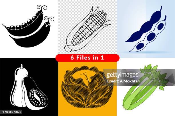illustrations, cliparts, dessins animés et icônes de ensemble d’illustration de légumes. - courgette fond blanc