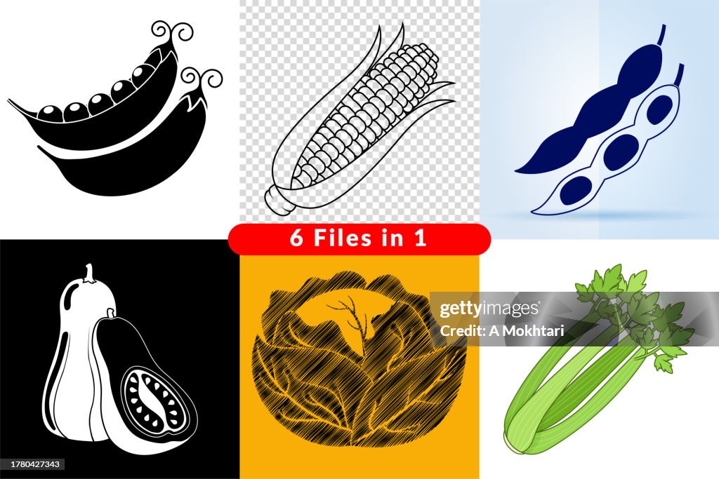 Vegetables illustration set.